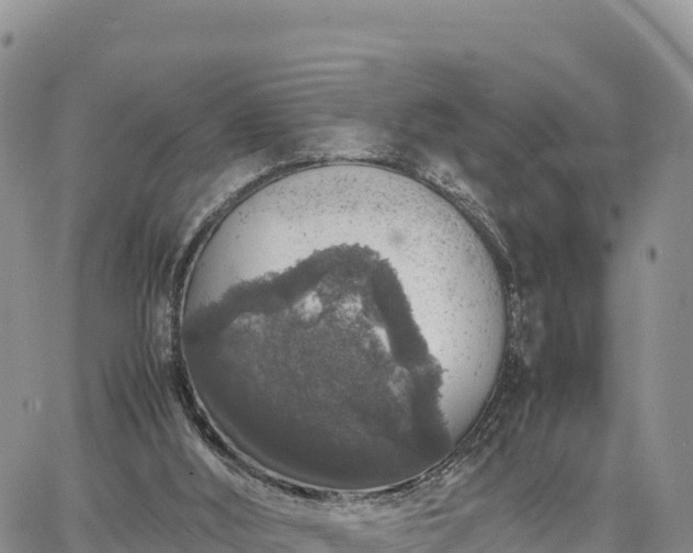 X0000064770012200602171836