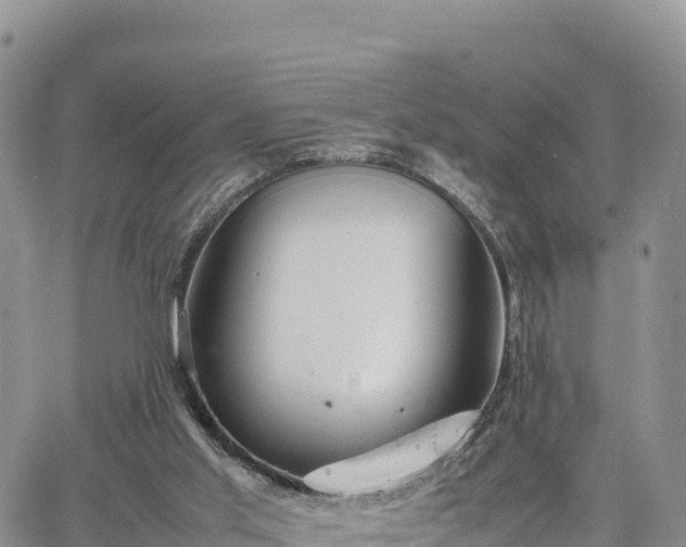 X0000064770013200602171836