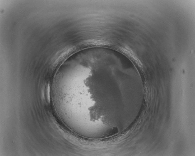 X0000064770014200602171836