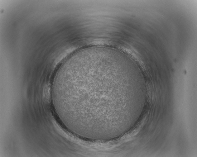 X0000064770016200602171836