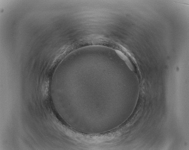 X0000064770018200602171836