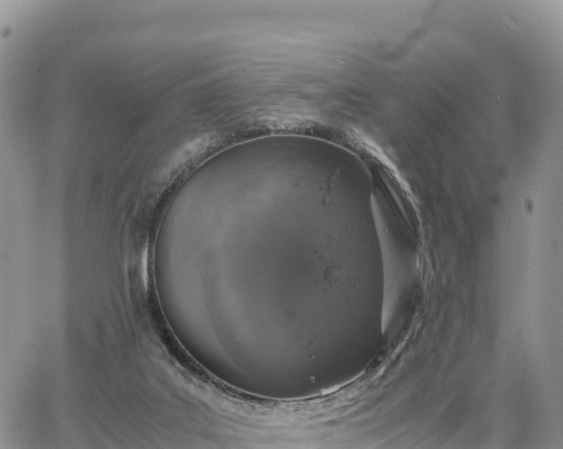 X0000064770019200602171836