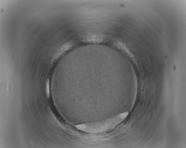 X0000064770020200602171836