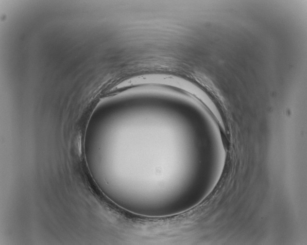 X0000064770021200602171836