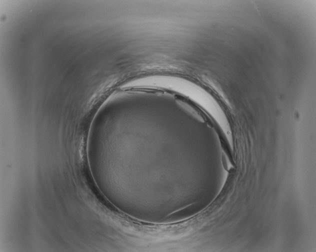 X0000064770023200602171836