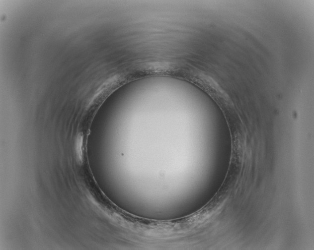 X0000064770024200602171836