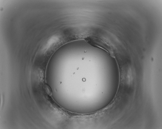 X0000064770025200602171836