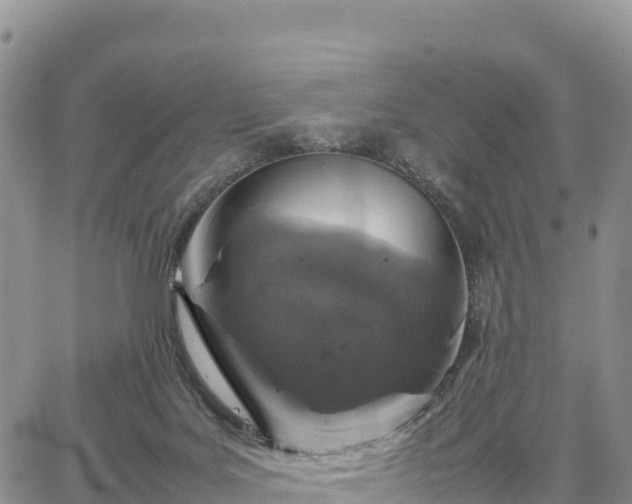 X0000064770027200602171836