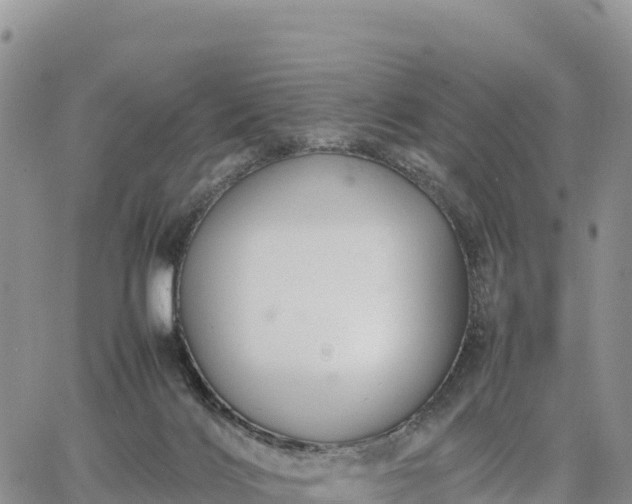 X0000064770028200602171836