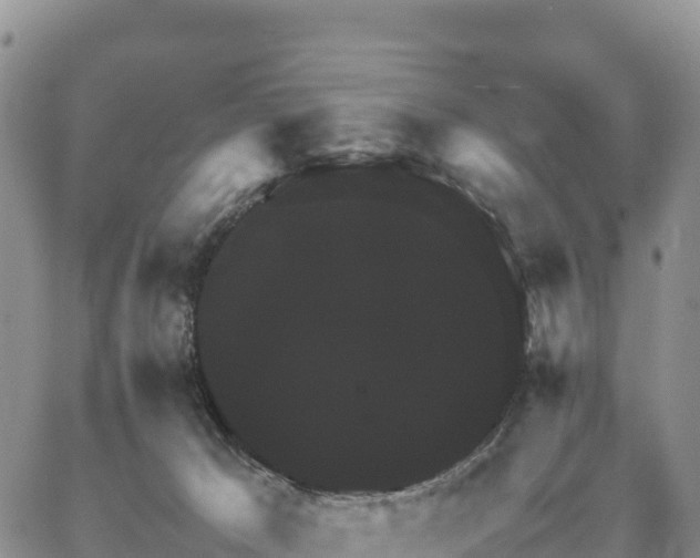 X0000064770029200602171836