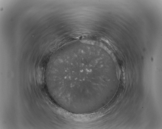 X0000064770030200602171836