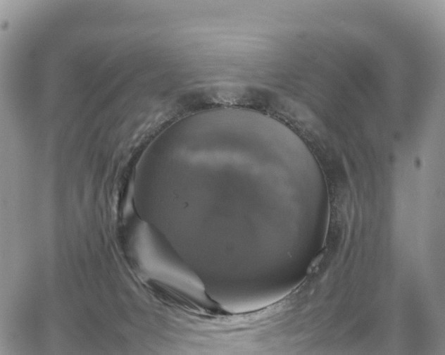 X0000064770031200602171836