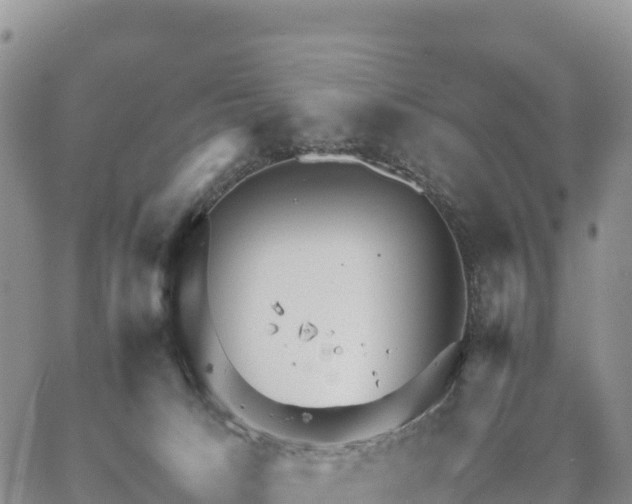 X0000064770033200602171836