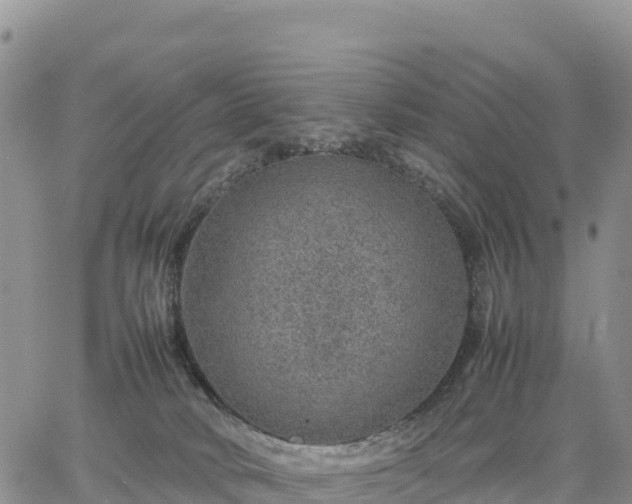 X0000064770034200602171836