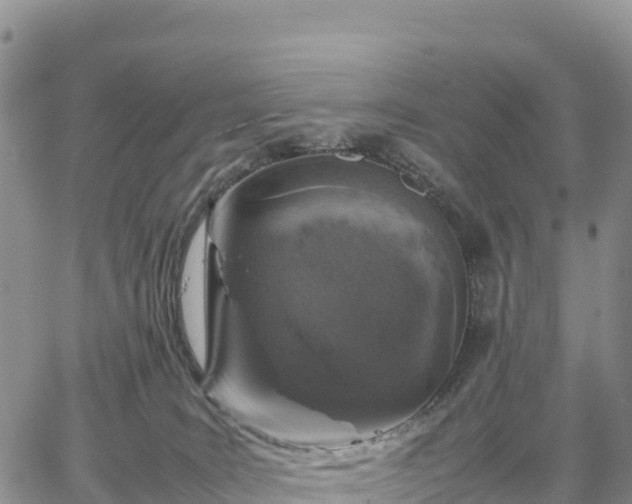 X0000064770035200602171836