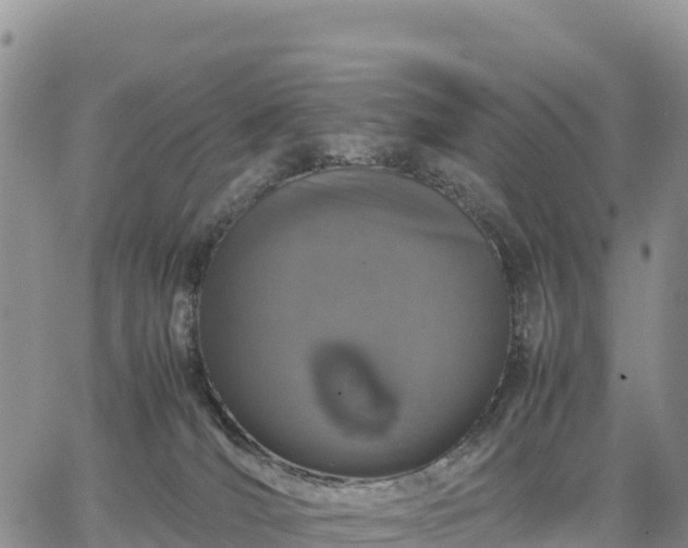 X0000064770036200602171836