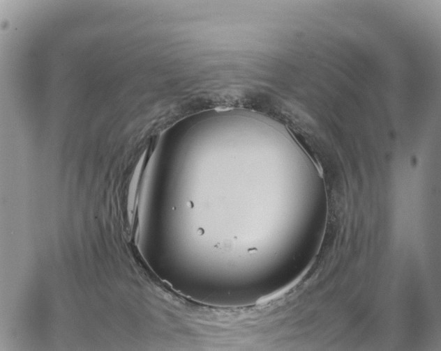 X0000064770037200602171836