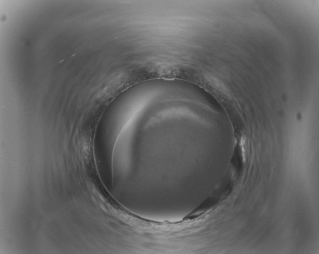 X0000064770039200602171836