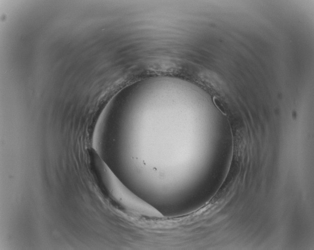 X0000064770040200602171836