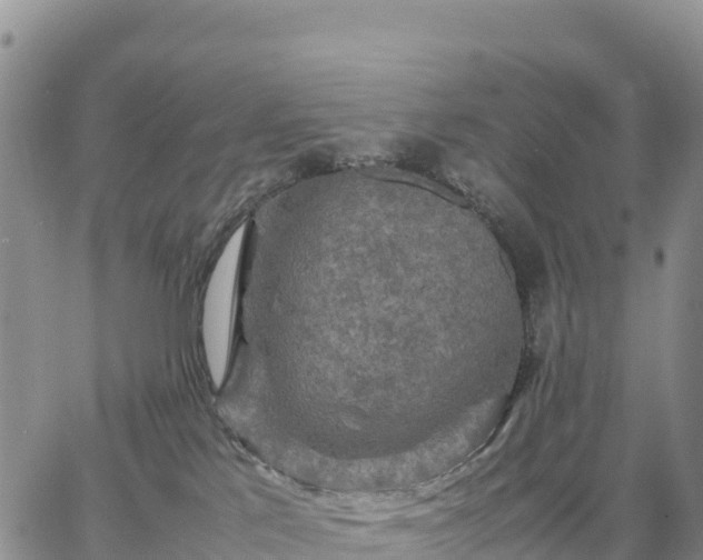 X0000064770041200602171836