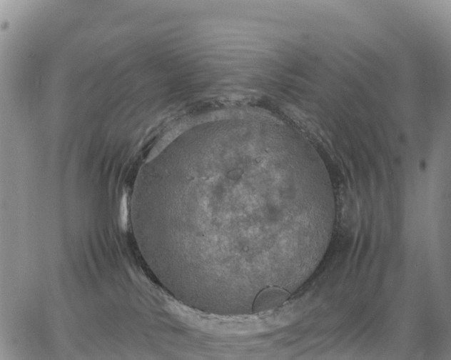 X0000064770042200602171836