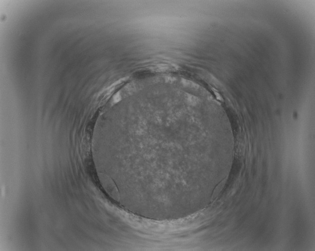 X0000064770043200602171836