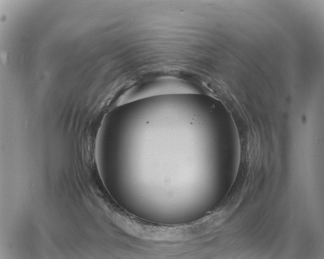 X0000064770044200602171836