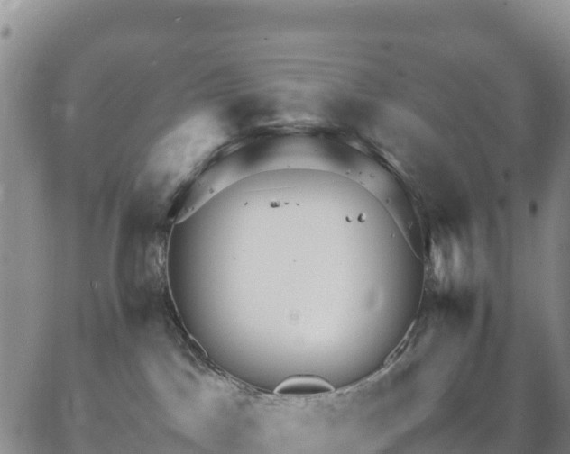 X0000064770045200602171836