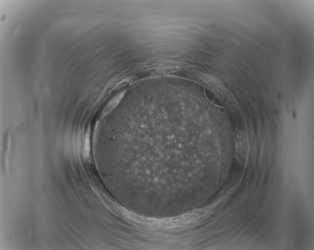 X0000064770046200602171836