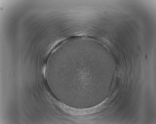 X0000064770047200602171836