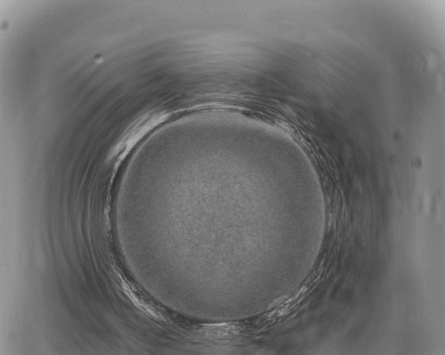 X0000064770050200602171835