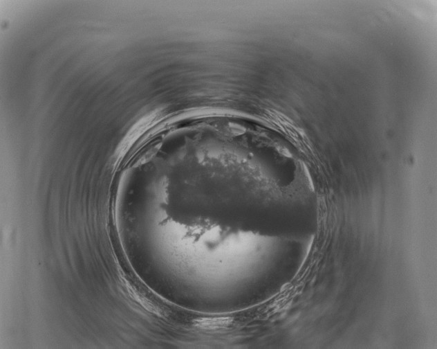 X0000064770051200602171835