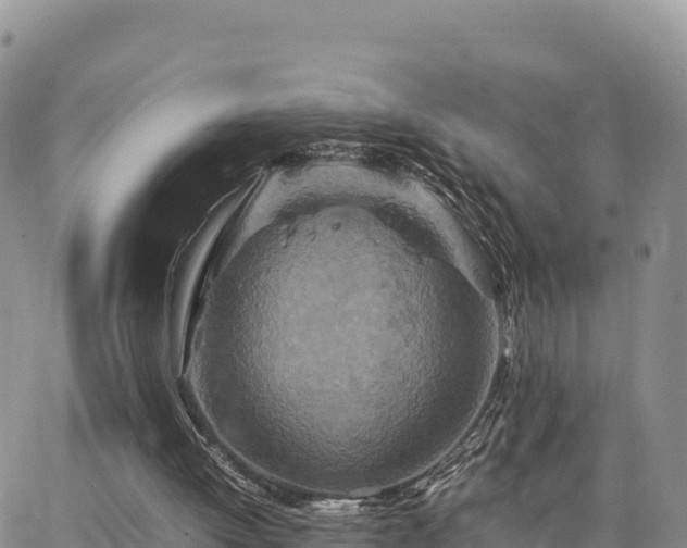 X0000064770052200602171835