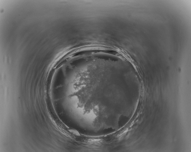 X0000064770055200602171835