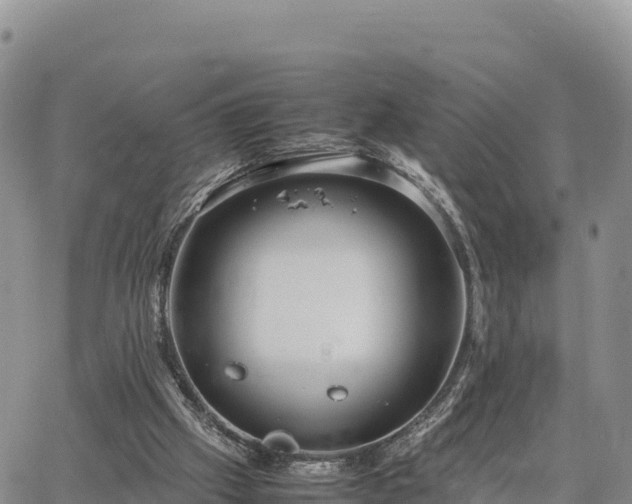 X0000064770057200602171835