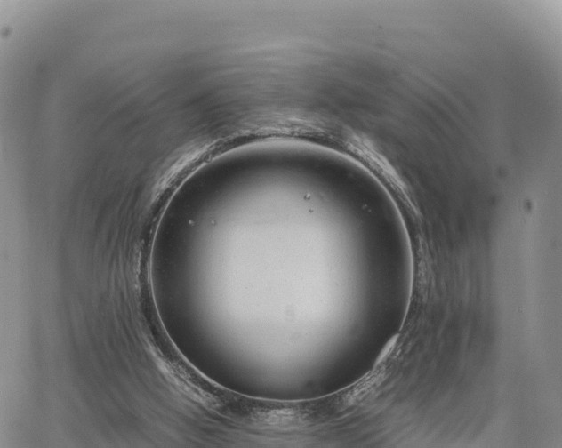 X0000064770058200602171835