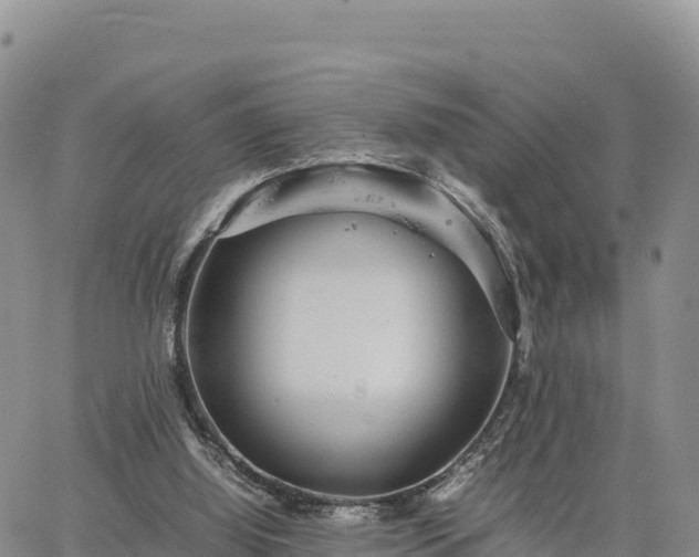 X0000064770060200602171835