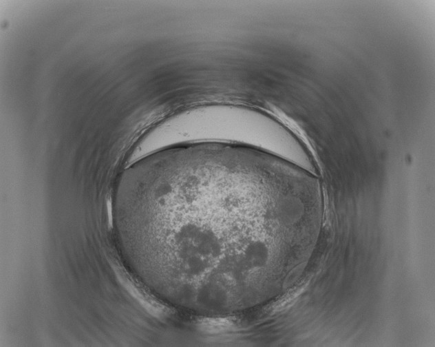 X0000064770061200602171835