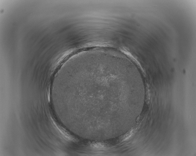 X0000064770062200602171835