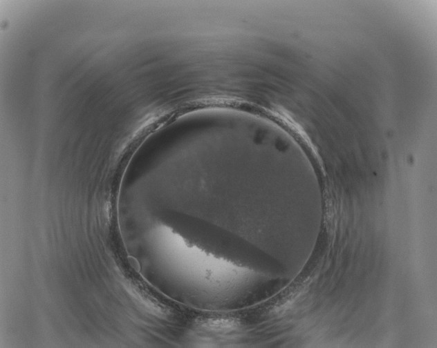 X0000064770063200602171835