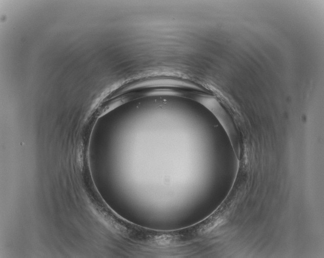 X0000064770064200602171835