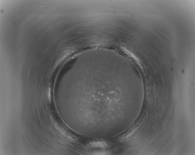 X0000064770067200602171835