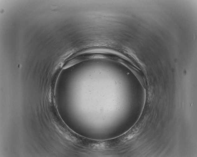 X0000064770068200602171835