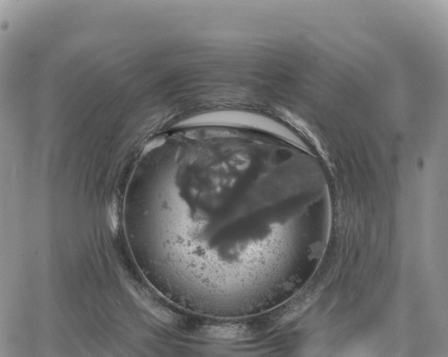 X0000064770069200602171835