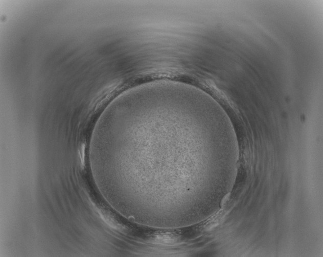 X0000064770070200602171835