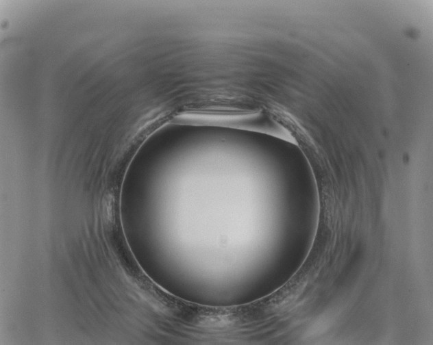 X0000064770071200602171835