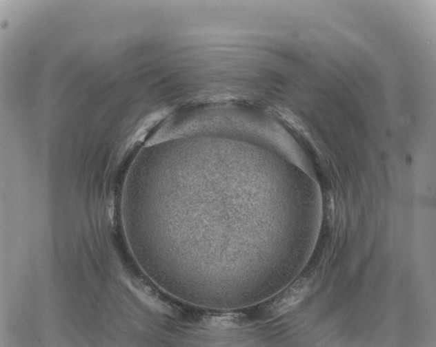 X0000064770072200602171835