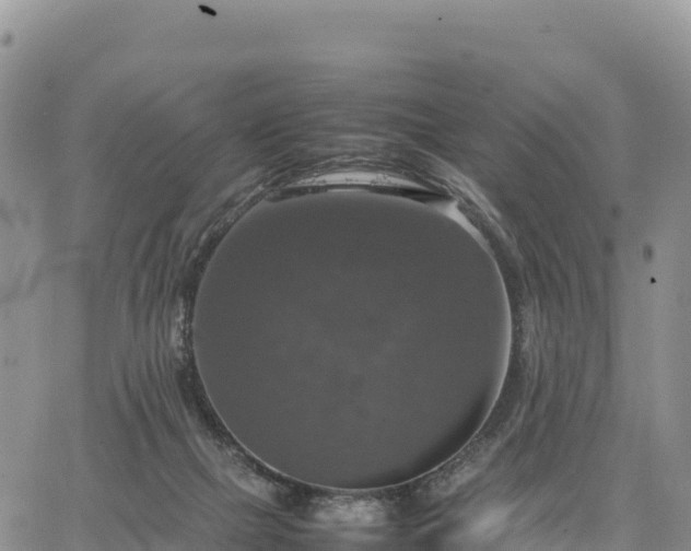 X0000064770073200602171835