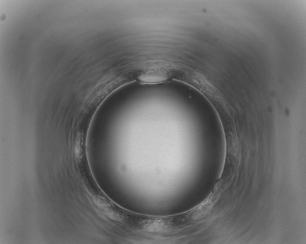 X0000064770074200602171835