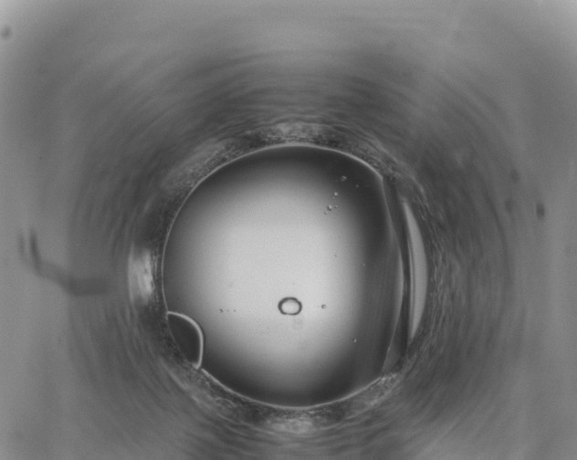 X0000064770075200602171835